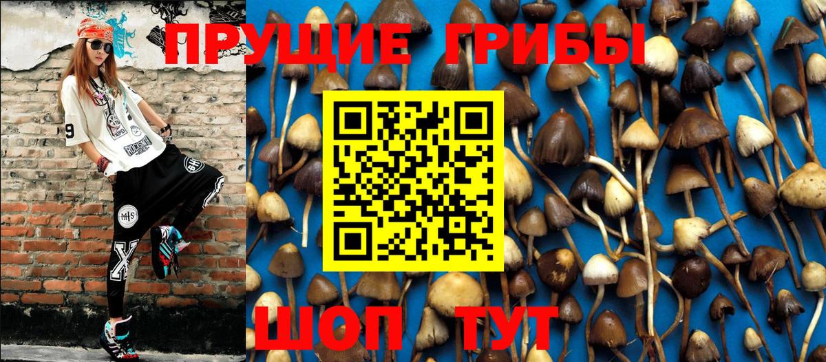 Псилоцибиновые грибы мухоморы Сатка